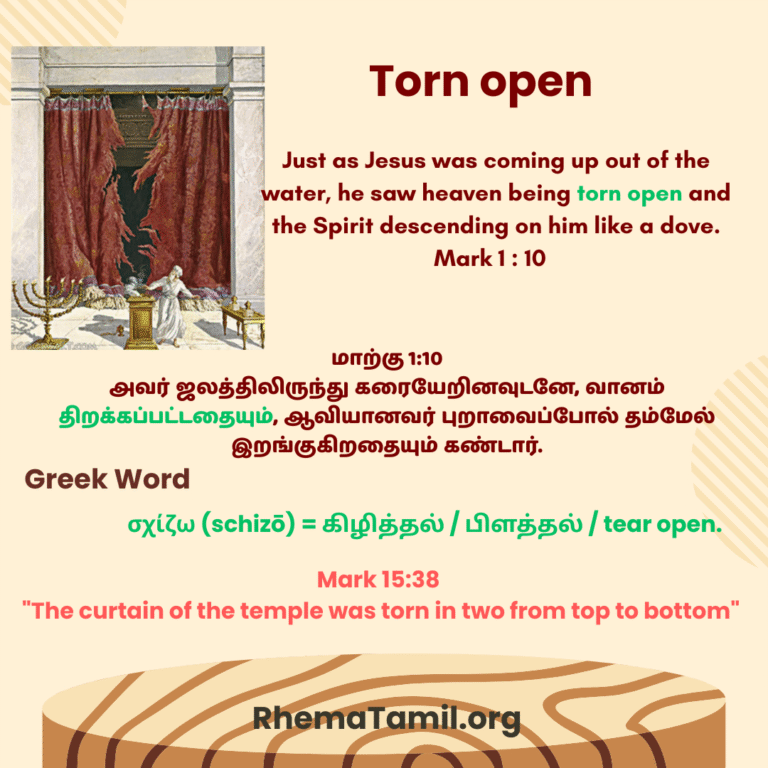 Torn Open